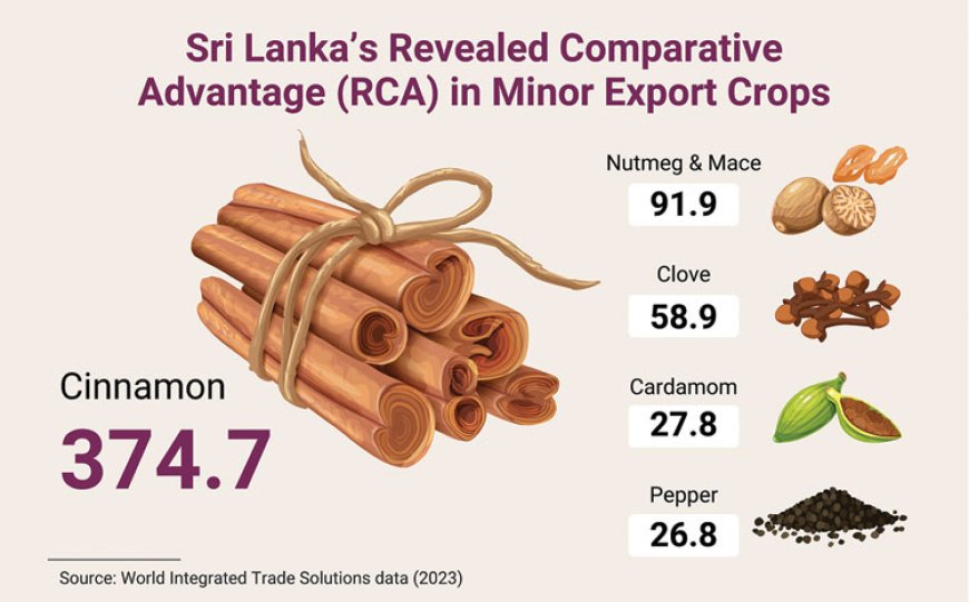Sri Lanka’s Road to Global Competitiveness: Insights from Trade, Energy, and Agriculture Policies